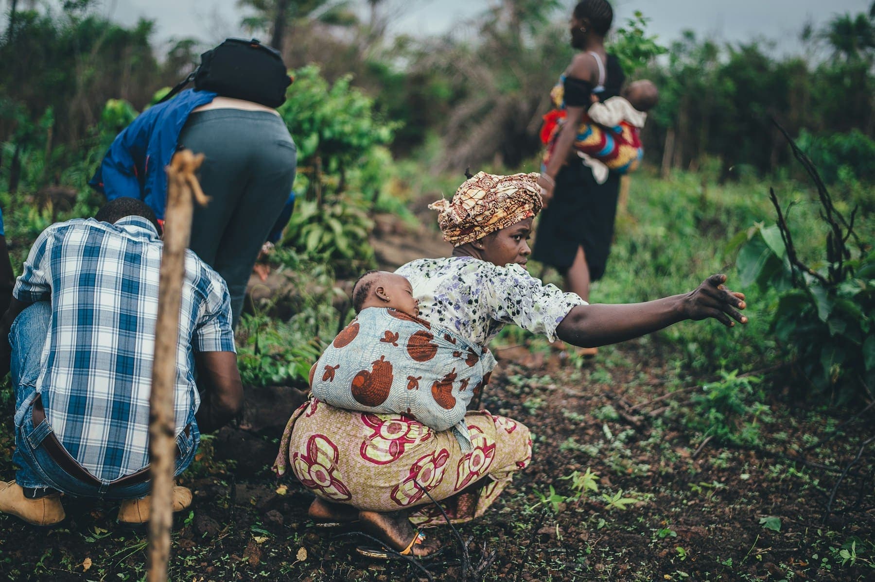 Farmers planting crops together in a field
