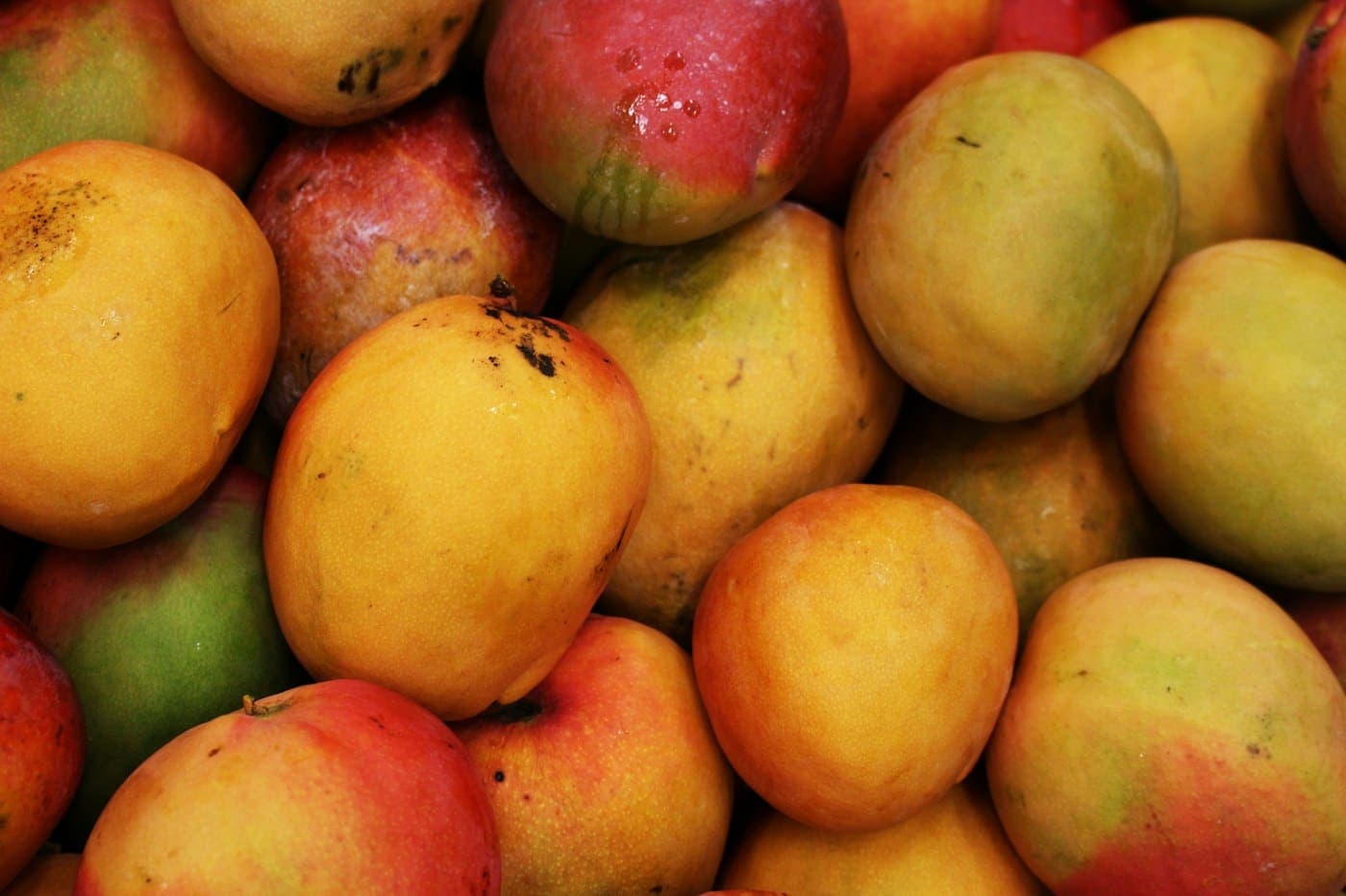 Pile of ripe colourful mangoes