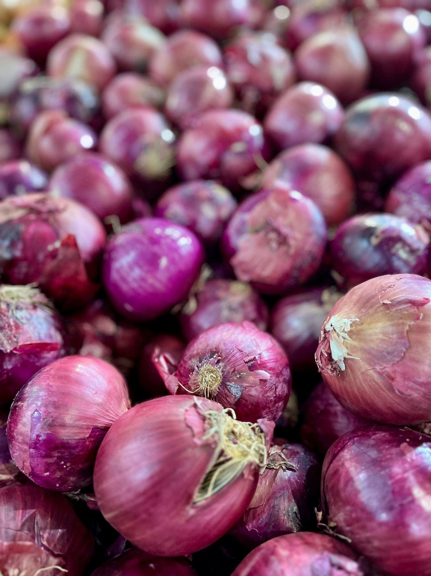 Pile of fresh red onions