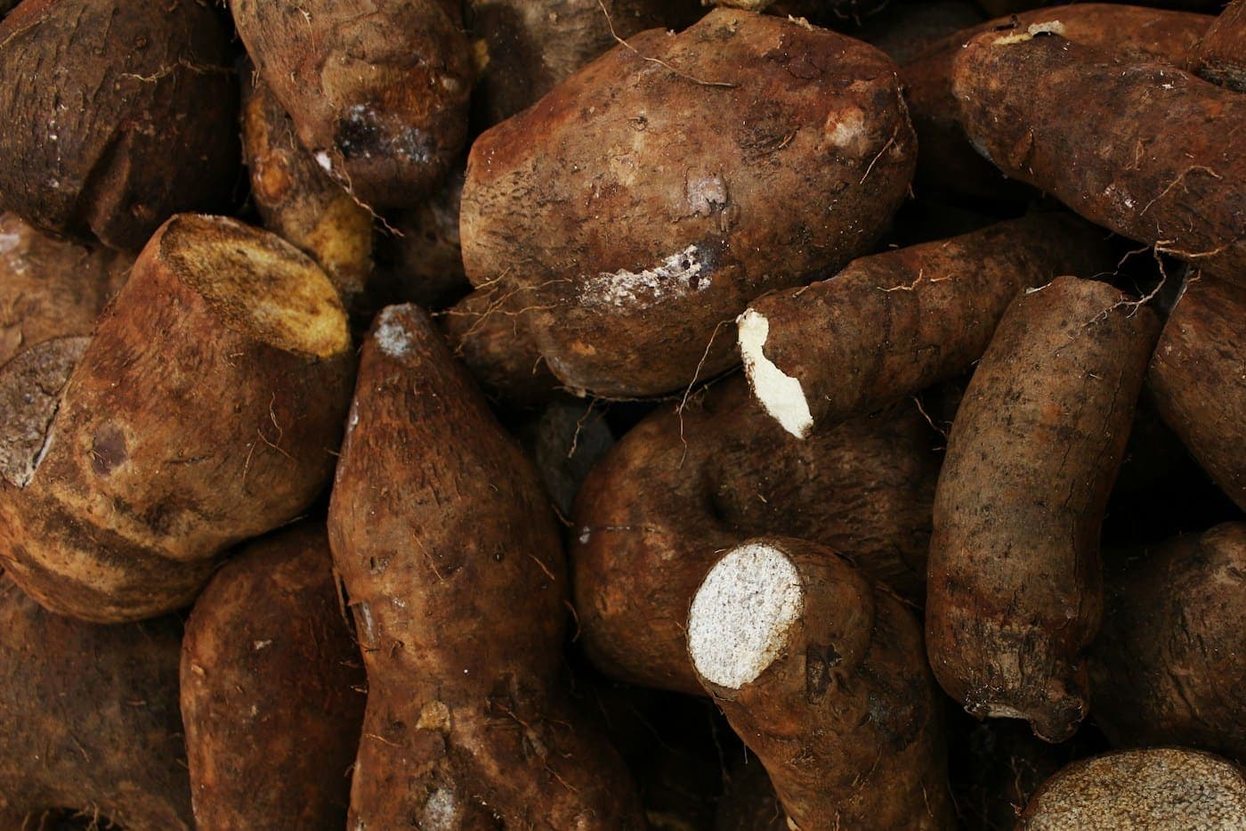 Pile of fresh yam tubers